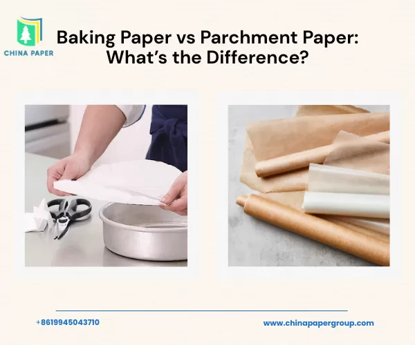 Backpapier vs. Pergamentpapier: Was ist der Unterschied?