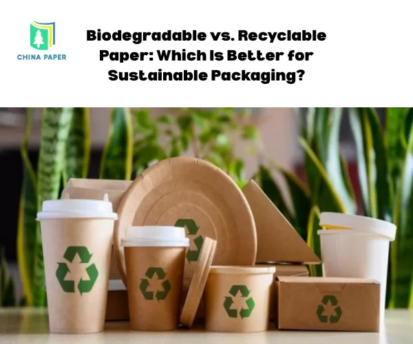 Biologisch abbaubares vs. recycelbares Papier: Welches ist besser für nachhaltige Verpackungen?