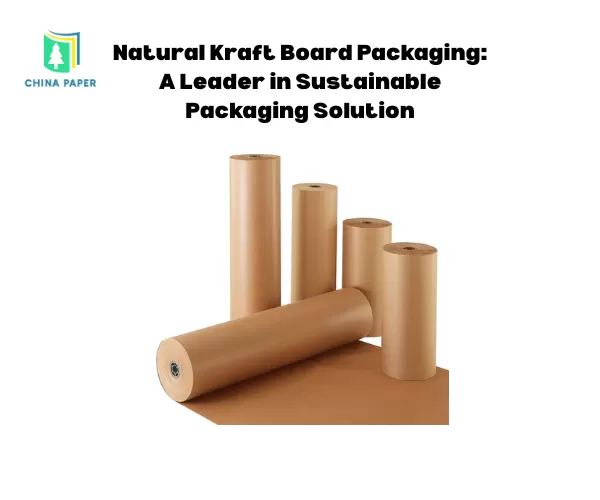 Verpackung aus Naturkraftkarton: Ein Vorreiter bei nachhaltigen Verpackungslösungen
