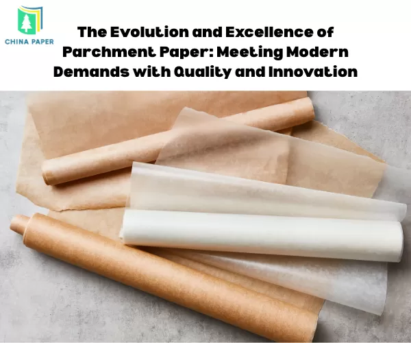 Die Entwicklung und Exzellenz von Pergamentpapier: Erfüllung moderner Anforderungen mit Qualität und Innovation