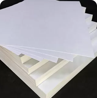C1S Elfenbeinkarton/Faltschachtelkarton (FBB)