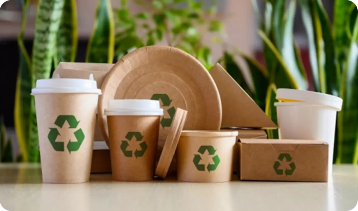FSC®-zertifizierte Produkte