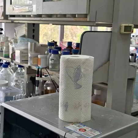 Handhygiene in der Medizin- und Lebensmittelindustrie