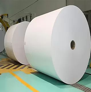 Mg-Papier