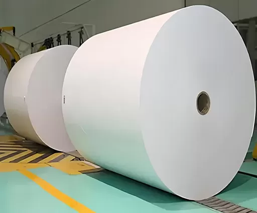 Mg-Papier