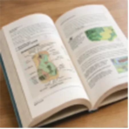 Zeitschriften & Publikationen