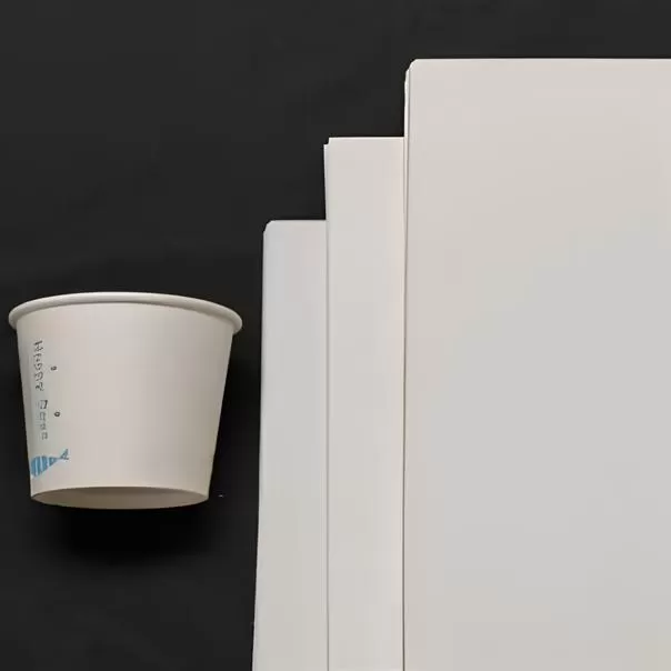Unbeschichtetes Cupstock-Rohpapier
